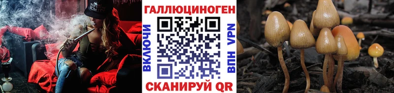 Галлюциногенные грибы мицелий  продажа наркотиков  Жуковка 
