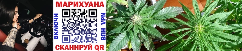 KRAKEN как войти  Жуковка  Бошки Шишки White Widow 
